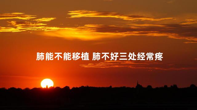 肺能不能移植 肺不好三处经常疼